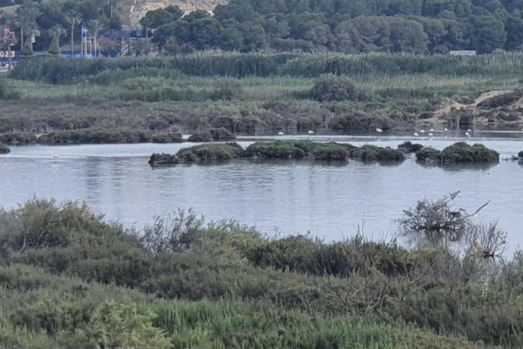Encantador Relajante Naturista Torremar Vera Playa Dış mekan fotoğraf